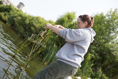 Graduate Students Receive Grants for Summer Research